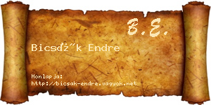 Bicsák Endre névjegykártya